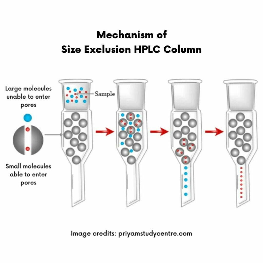 HPLC Columns – Definition, Principle, Types, And Maintenance