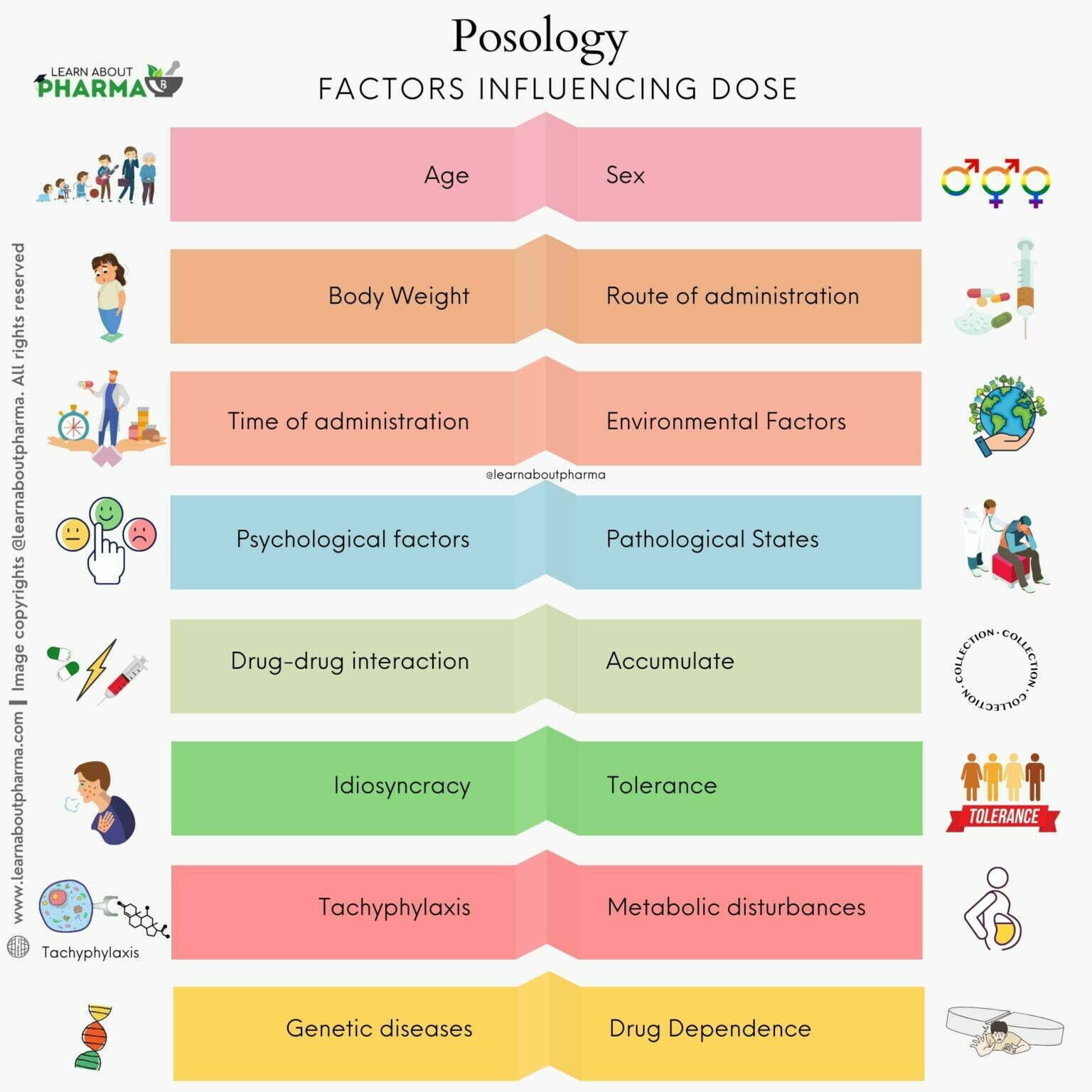 Posology – Definition, Factors Influencing Dose with Examples